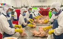 Truy xuất nguồn gốc nông sản để minh bạch thị trường