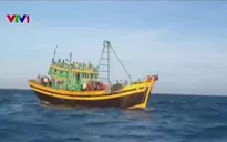 Truy bắt các đối tượng đánh bắt hải sản trái phép trên biển