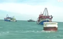 Quảng Trị bắt hai tàu cá Kiên Giang khai thác hải sản "tận diệt" ven bờ
