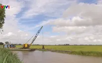 An Giang gia cố đê bao ngăn lũ, bảo vệ lúa