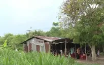 Giá đất Củ Chi tiếp tục được "hâm nóng"