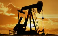 Giá dầu có thể về mốc 30 USD/thùng nếu OPEC không cẩn trọng