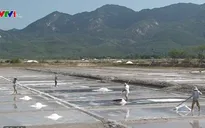 Giá muối cao, diêm dân vẫn chưa thể sản xuất