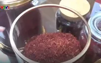 Khám phá công thức gia vị ở xứ sở sa mạc Trung Đông