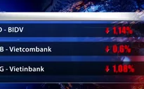 Phiên giao dịch sáng 29/3: VN-Index, HNX-Index tăng giảm liên tục
