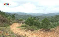Nông sản khó tiêu thụ vì giao thông ách tắc