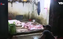 Khánh Hòa sẽ xây khu giết mổ tập trung 4ha để tiết kiệm kinh phí