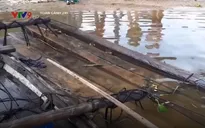 Bị kiểm tra vận chuyển gỗ lậu, chủ ghe nhảy sông trốn thoát
