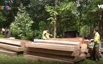 Quảng Nam triệt phá đường dây vận chuyển gỗ quy mô lớn