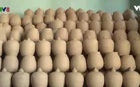 Kỳ thú làng gốm tại Hội An