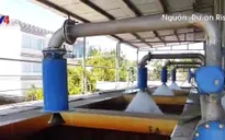 Việt Nam – Hà Lan hợp tác phát triển bền vững vùng ĐBSCL