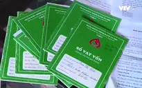 Hà Nam: Cả làng vỡ nợ vì giá lợn thấp kỷ lục