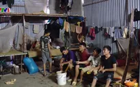 Hà Nội tổng vệ sinh phòng sốt xuất huyết