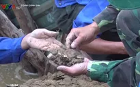 Cất bốc hài cốt liệt sỹ ở Bệnh viện Đa khoa khu vực Triệu Hải, Quảng Trị
