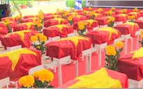 Sự hỗ trợ đặc biệt trong việc tìm kiếm mộ tập thể ở sân bay Biên Hòa