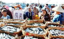 Thí điểm đấu giá hải sản tại chợ cá lớn nhất miền Trung