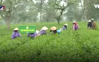 Hà Tĩnh: Du lịch trải nghiệm làng quê nông thôn mới hút khách