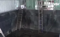Phú Yên: 5 công nhân tử vong tại hầm chứa mắm có thể do ngạt khí