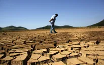 Brazil hứng chịu đợt hạn tồi tệ nhất trong 100 năm