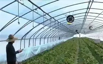 Thành phố thông minh đầu tiên tại Hàn Quốc