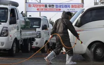 Hàn Quốc phòng ngừa dịch cúm gia cầm