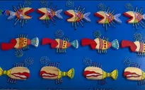 Độc, lạ sản phẩm lưu niệm “handmade” tại Nha Trang