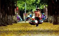 Ổn định - Giấc mơ đơn giản của những gánh hàng rong