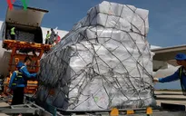 Tiếp nhận hàng của ASEAN viện trợ các tỉnh bị ảnh hưởng bão số 12