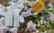 Hà Nội tiêu hủy 15 tấn hàng lậu