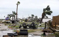 Số người thiệt mạng do bão Harvey tăng mạnh