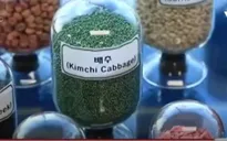 Hàn Quốc: Khuyến khích bảo vệ hạt giống thuần chủng