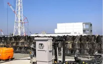Fukushima không còn dấu vết của phóng xạ