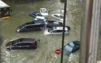 Bão Hato đổ bộ Trung Quốc, ít nhất 5 người thiệt mạng