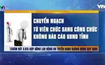 Thanh Hóa chấm dứt 3.015 HĐLĐ do tuyển dụng không đúng quy định