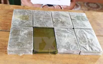 Hòa Bình: Xét xử vụ án vận chuyển, mua bán trái phép 30 bánh heroin