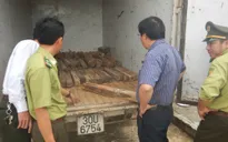 Quảng Bình: Bắt giữ 100 khúc gỗ hương giáng "trừ tà"