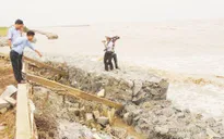 Đê biển Tây ở Cà Mau tiếp tục bị sạt lở