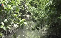 Đẩy nhanh tiến độ xây hồ điều tiết tại sân bay Tân Sơn Nhất