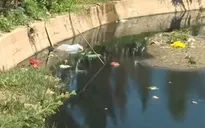 Ra quân xử lý ô nhiễm hồ Đội Có tại thành phố Đà Lạt