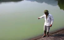 Hà Tĩnh: Gây ô nhiễm môi trường, hai trang trại bị phạt 55 triệu đồng