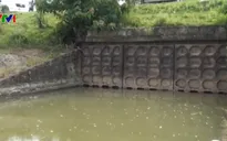 Hơn 300 hồ đập trên cả nước trong tình trạng nguy hiểm
