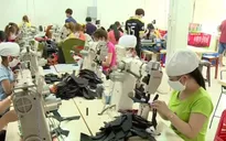 Hơn 70.000 doanh nghiệp mới thành lập chỉ trong 7 tháng đầu năm