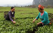 Dịch vụ ngân hàng trên điện thoại cho người thu nhập thấp