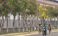 Bình Dương - Tỉnh duy nhất không có hộ nghèo, cận nghèo