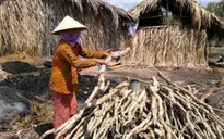 Tỷ lệ hộ nghèo tại ĐBSCL năm 2016 giảm sâu
