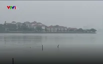 Hà Nội dừng toàn bộ hoạt động nuôi cá ở hồ Tây