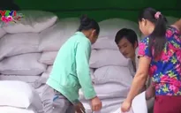 Xuất cấp 1.700 tấn gạo cho Quảng Bình, Sóc Trăng dịp Tết