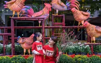 Lễ hội hoa Xuân 2017 lớn nhất khu vực miền Bắc