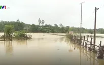 Hàng nghìn ha lúa, hoa màu và nhà dân ngập sâu trong nước lũ