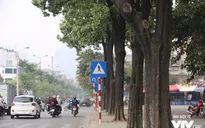 Hà Nội rà soát và thay đổi mật độ hoa sữa trong thành phố